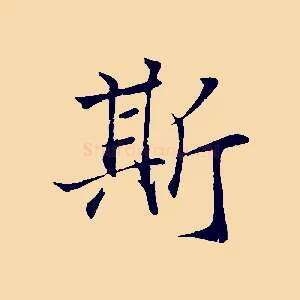 斯