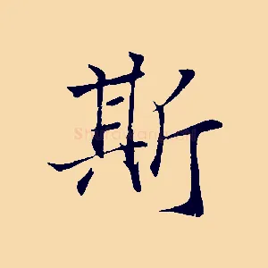 斯