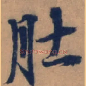 肚
