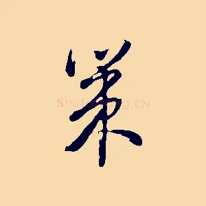 策