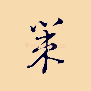 策