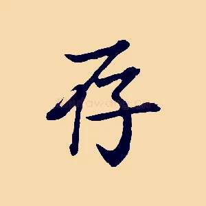 存