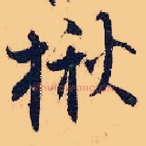 揪