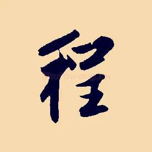程