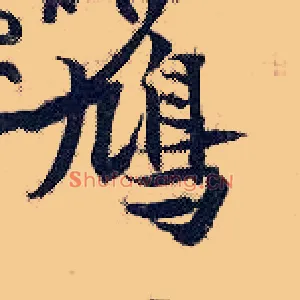 鸠