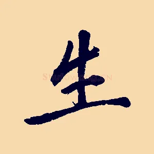 生