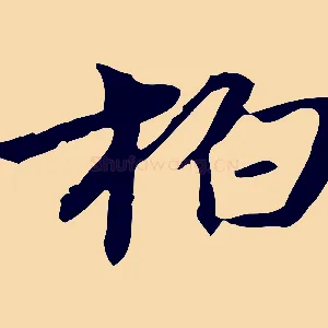 柏