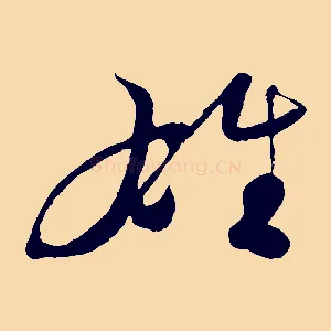 雄