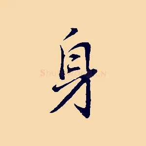 身