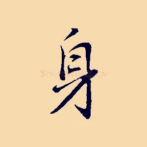 身