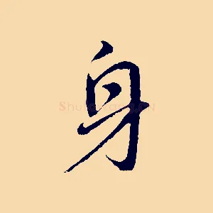 身