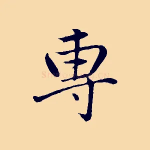 專