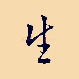 生