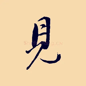 見