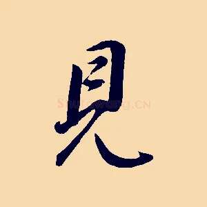 見