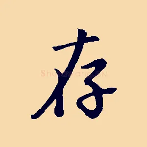 存