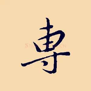 專