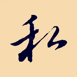 私