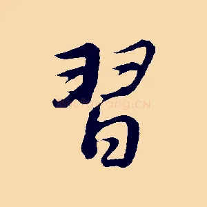 習