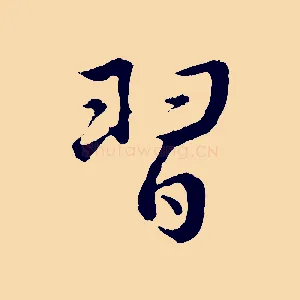 習