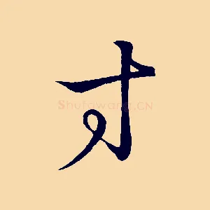 寸