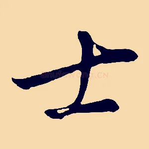 士