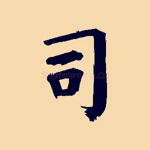 司
