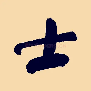 士