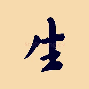 生