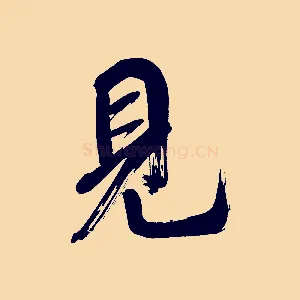 見