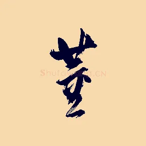 董