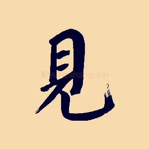見
