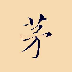 茅