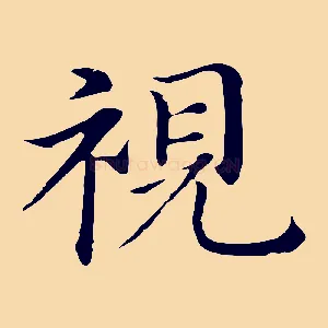 視