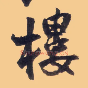 楼