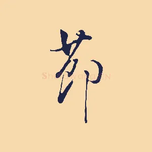 節