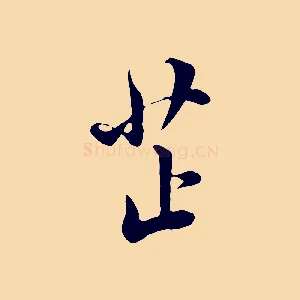 芷