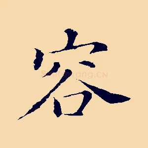 容