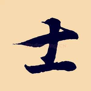 士