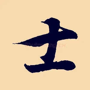 士