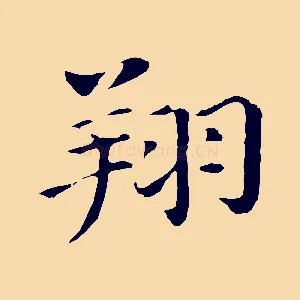 翔