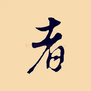 者