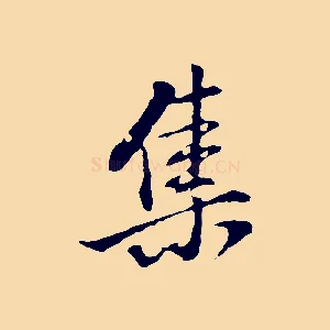 集