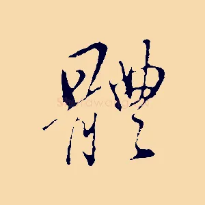 體