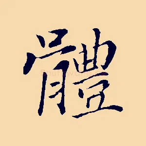 體
