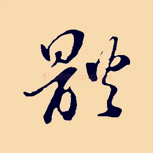 體