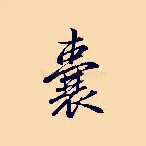 囊