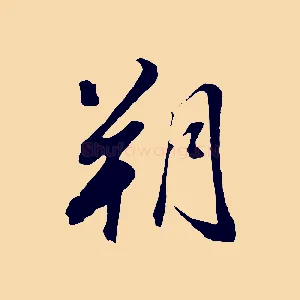 朔