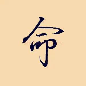 命