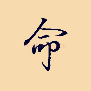 命